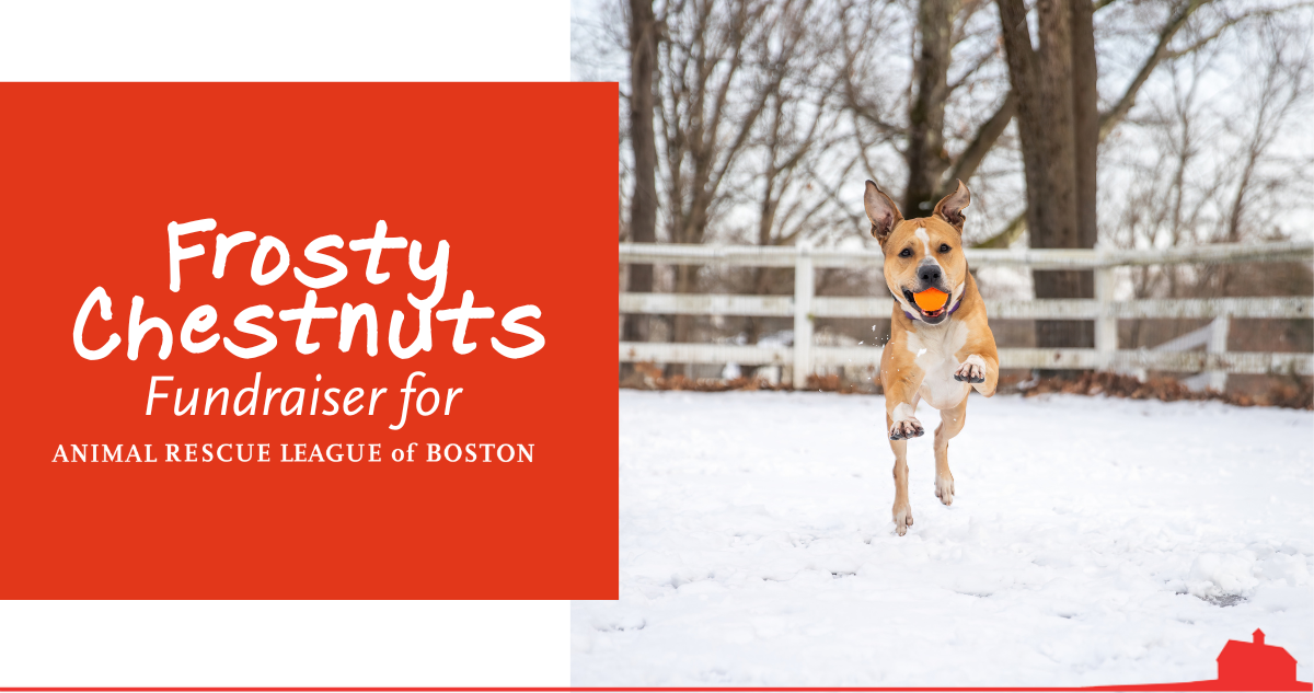 Campaign cover image for Frosty Chestnuts