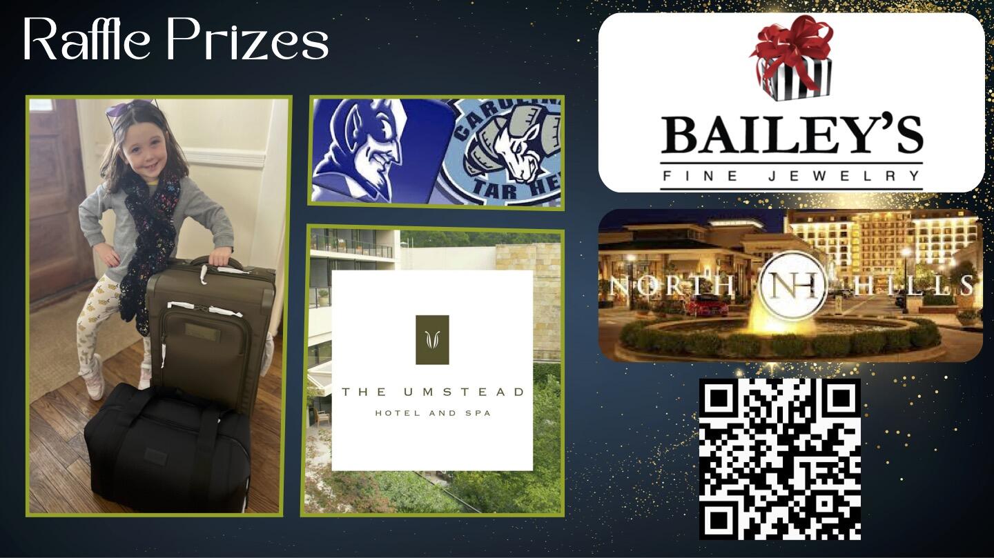 Campaign cover image for Blue and Gold Ball Raffle Tickets