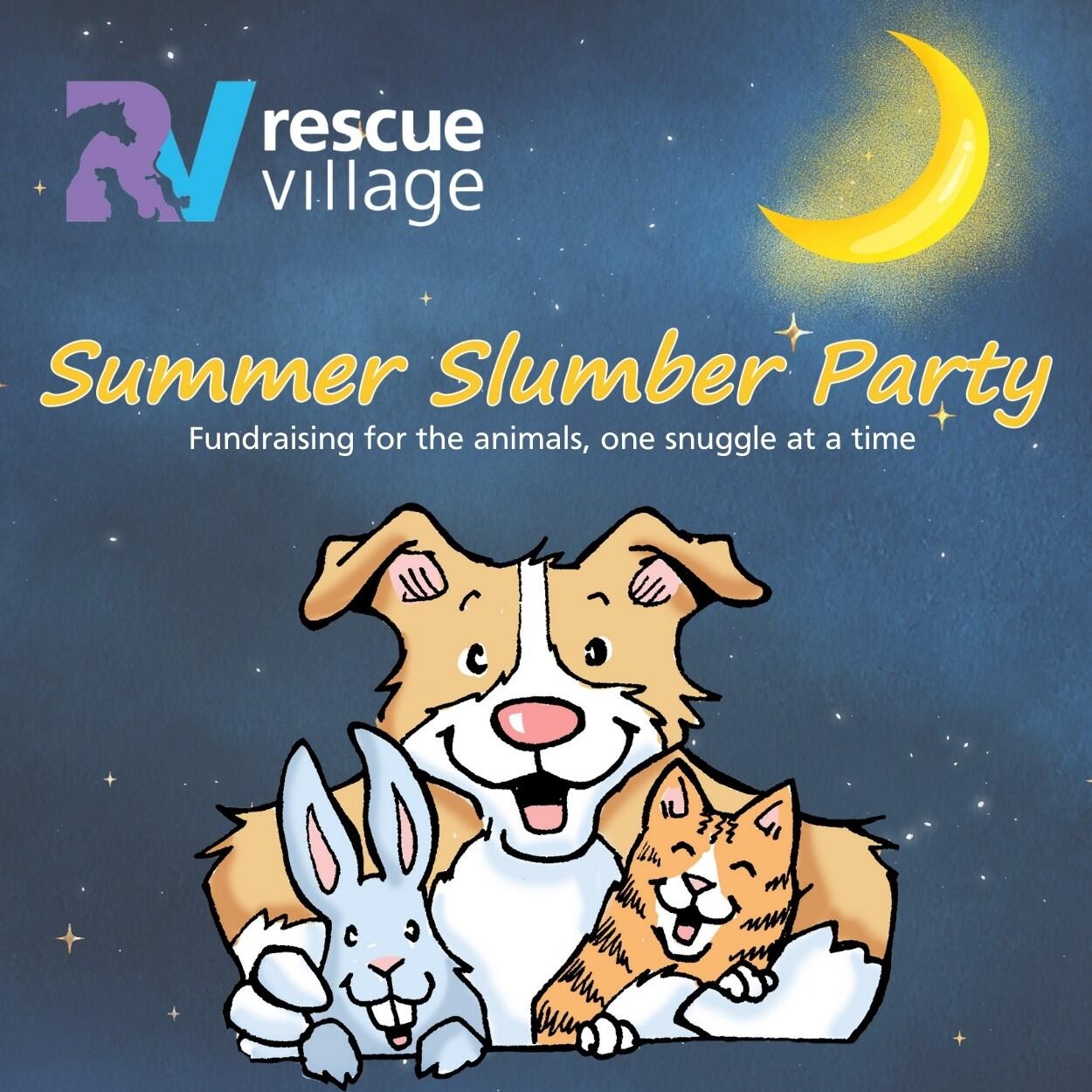 Campaign cover image for Summer Slumber Party