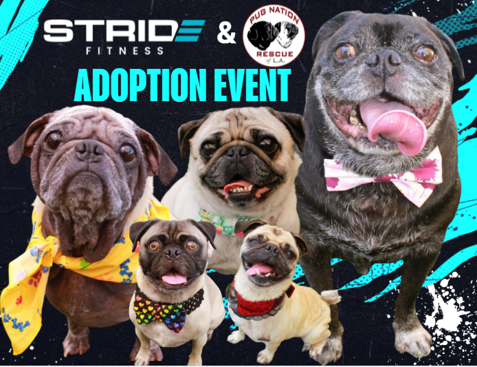 Campaign cover for STRIDE Fitness Adoption Fair