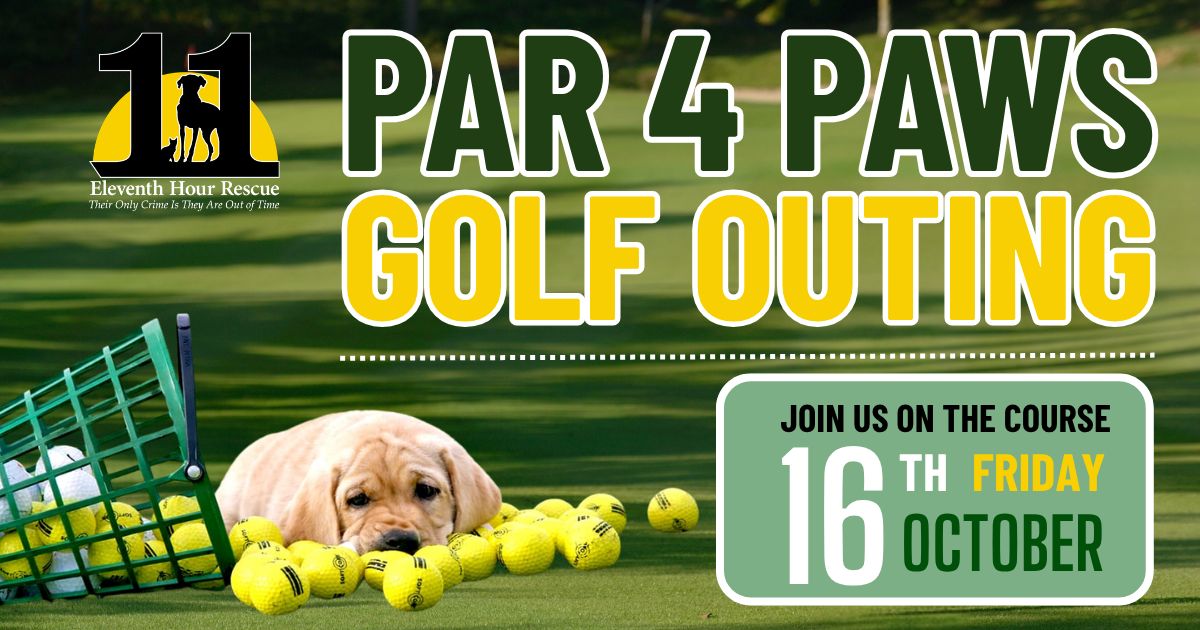 Campaign cover image for Eleventh Hour Rescue Par 4 Paws 2026 Golf Outing