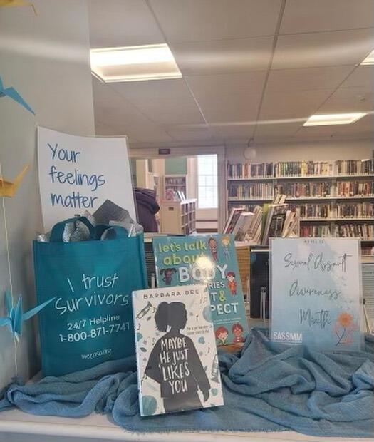 Campaign cover image for Support SASSMM Support Survivors