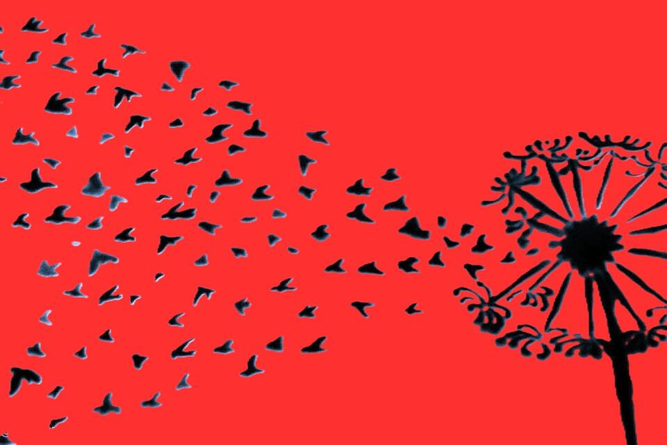 Campaign cover image for Resistance Rising