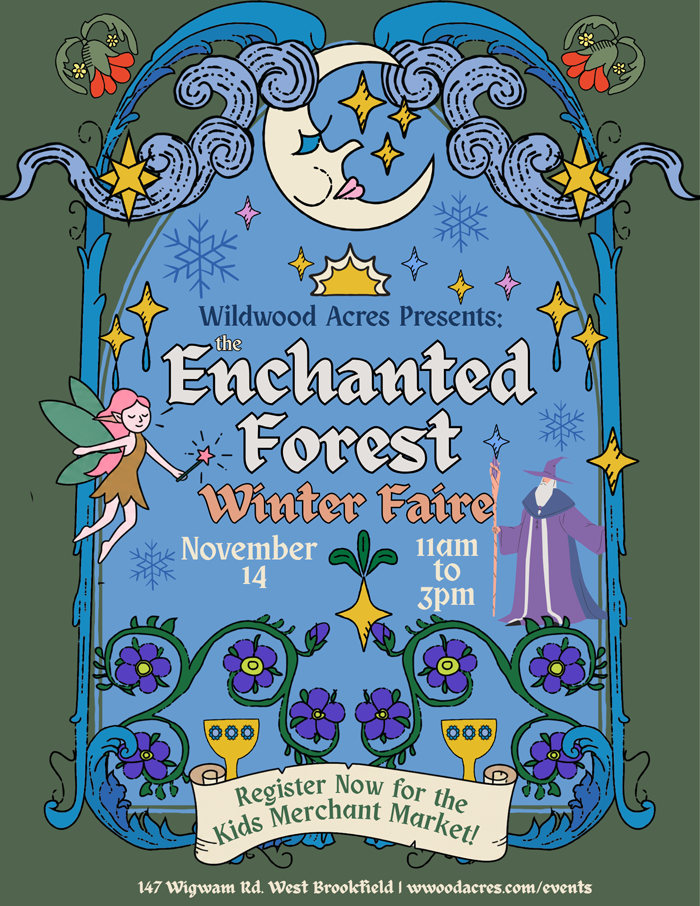 Campaign cover image for The Enchanted Forest Winter Faire 2026