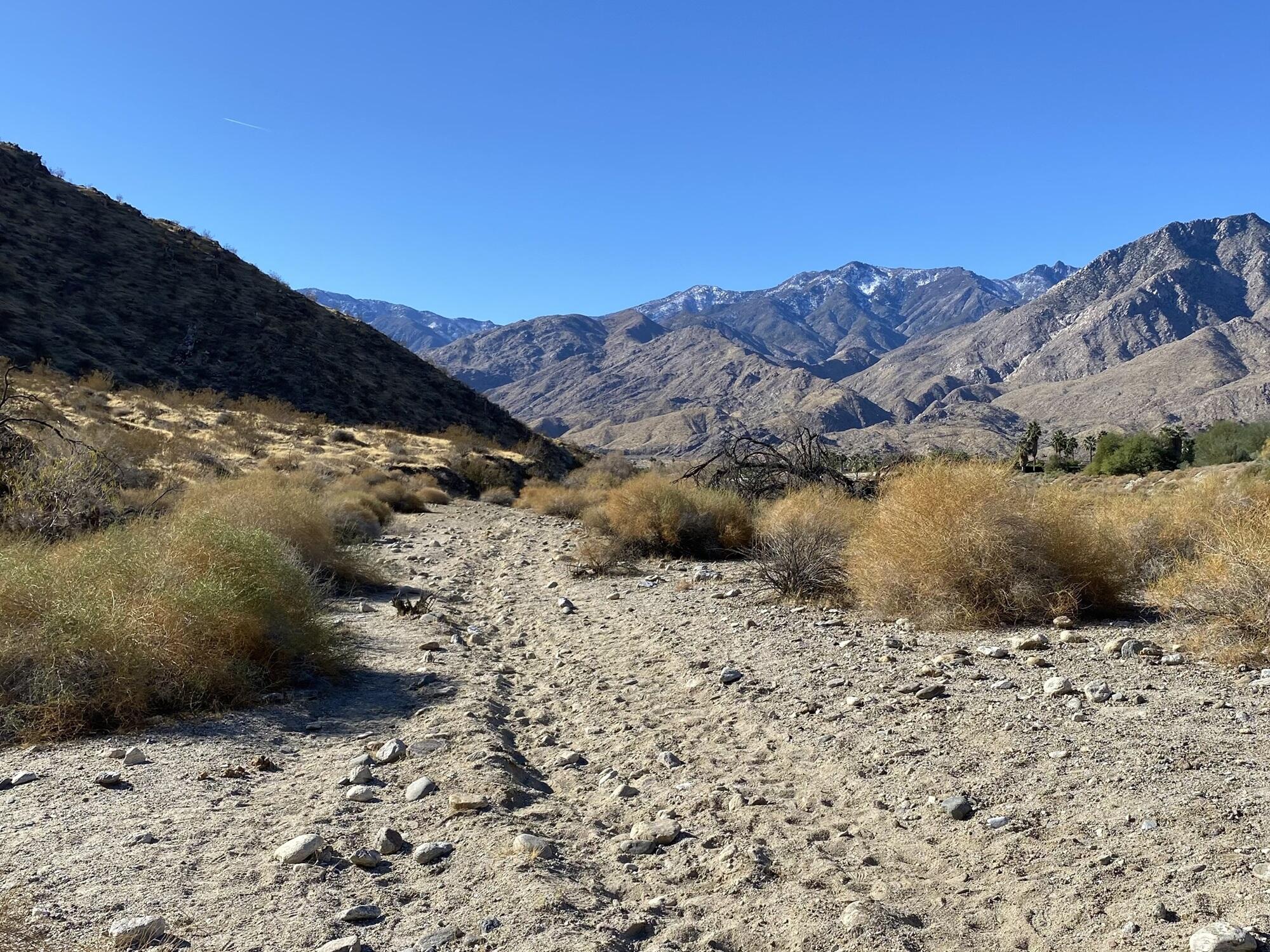 Campaign cover image for 11-11-2025 - Earl Henderson Trail