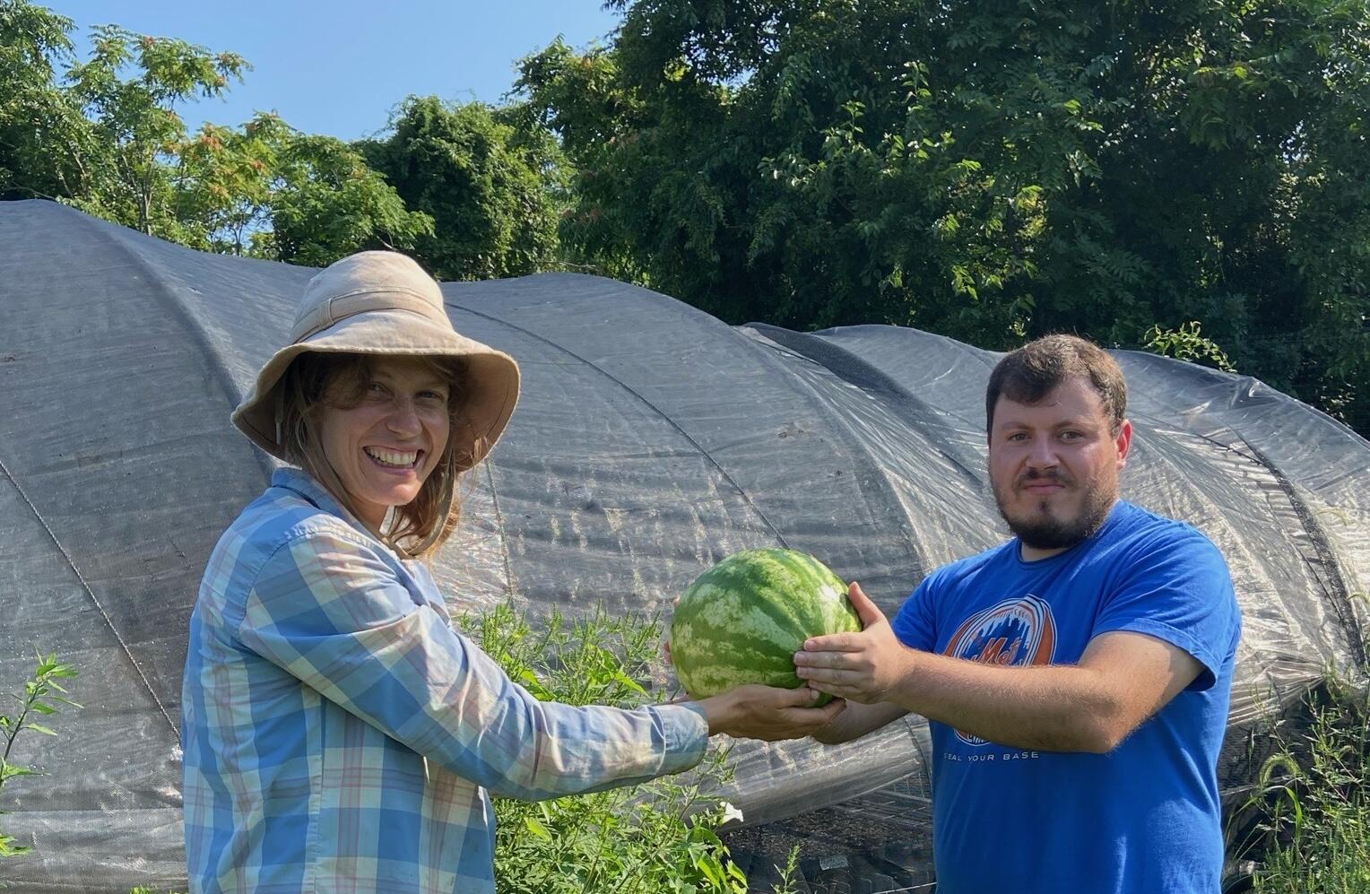 Campaign cover image for Sharing The Harvest 2025