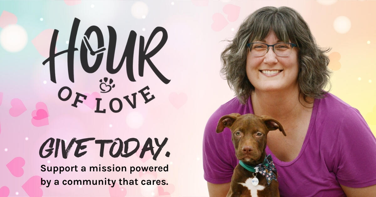 Campaign cover image for Hour of Love 2026