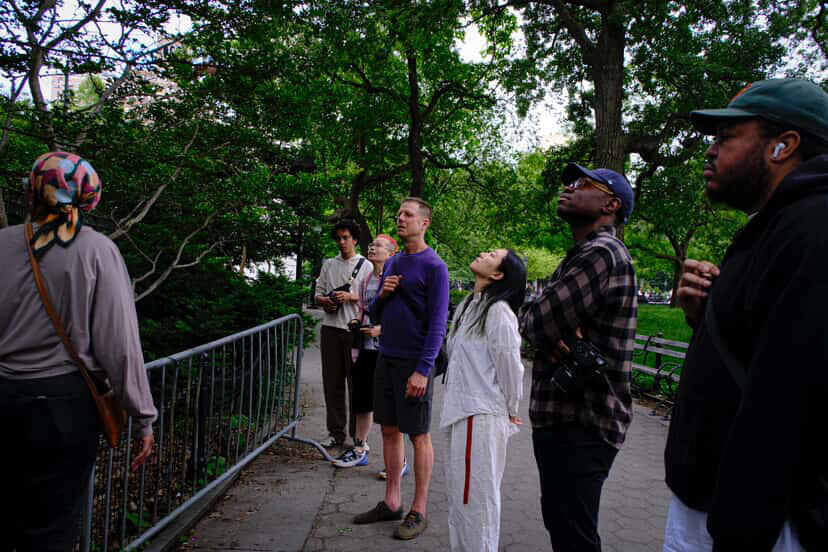 Campaign cover image for Donate to Local Nature Lab