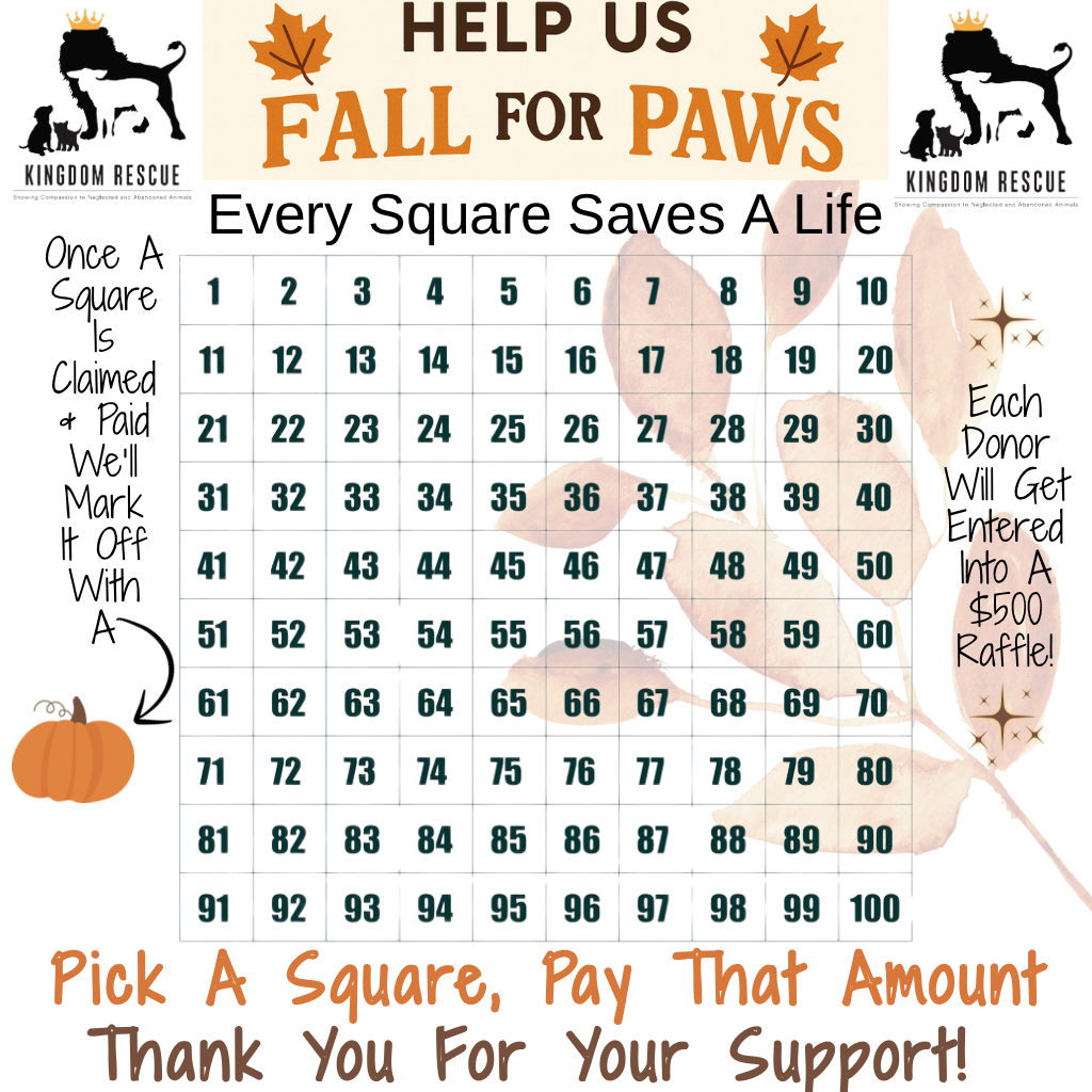 Campaign cover image for Fall for Paws! 🐾 🌿