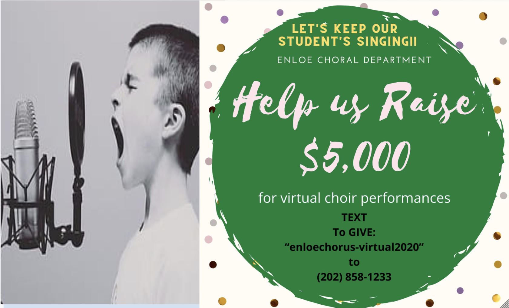 Campaign cover image for Virtual Choir Project