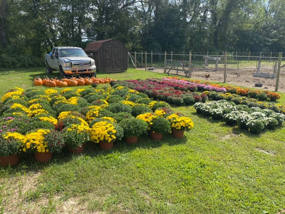 Campaign cover image for KBES PTA MUM FUNDRAISER