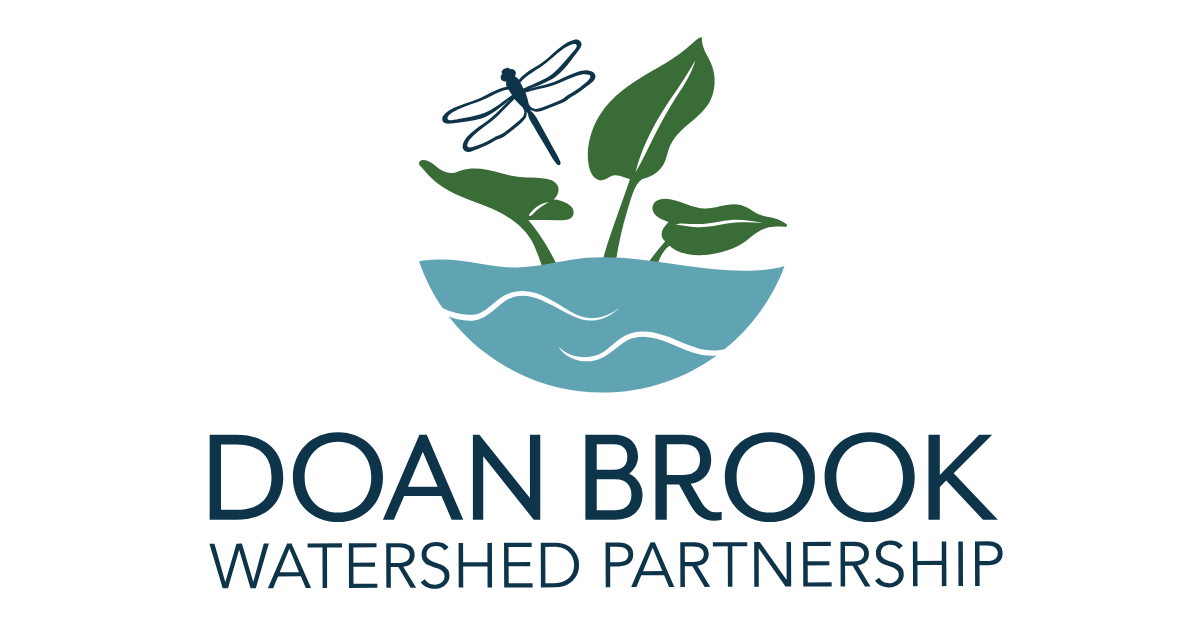 Campaign cover image for 2024/2025 Doan Brook Annual Campaign