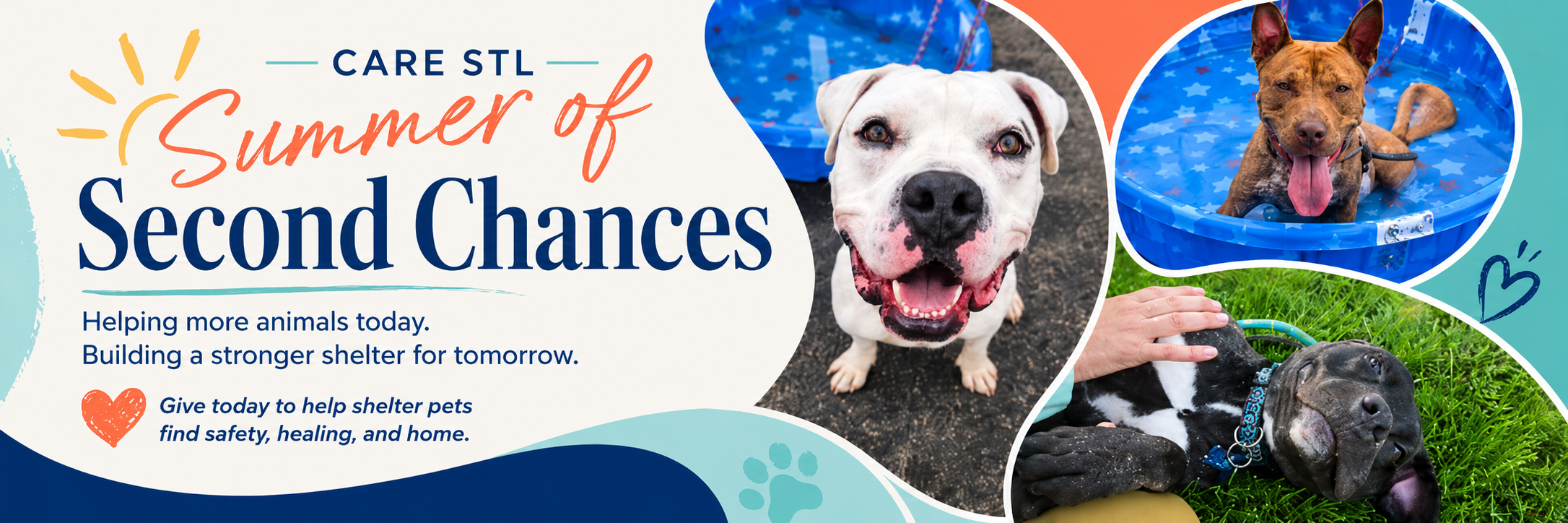 Campaign cover image for Summer of Second Chances