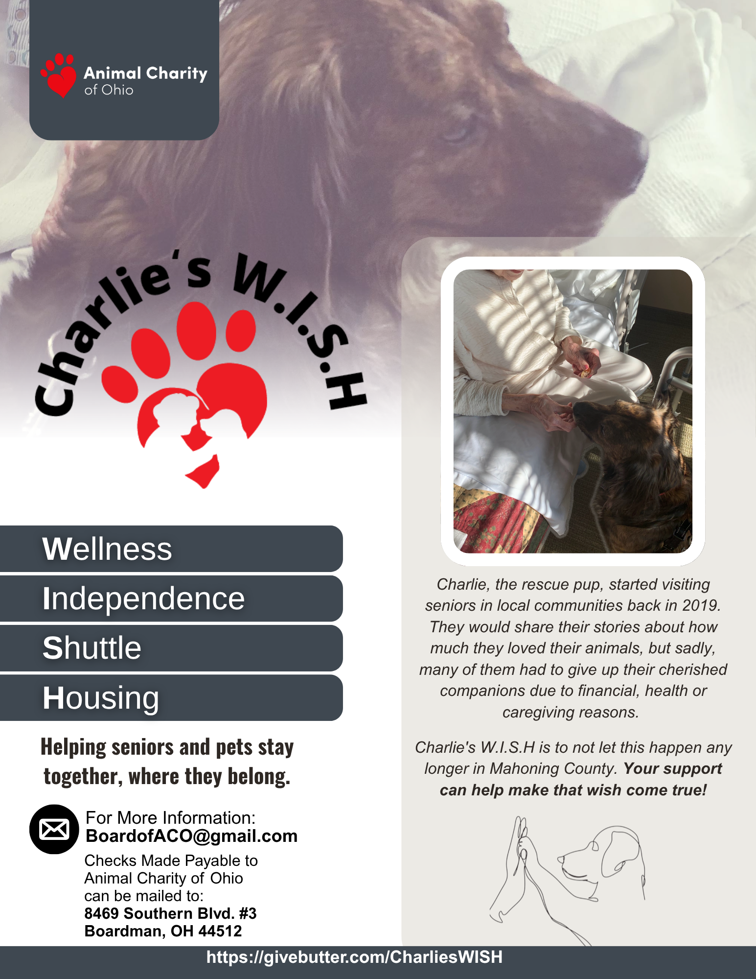 Campaign cover image for Charlie's W.I.S.H. Program