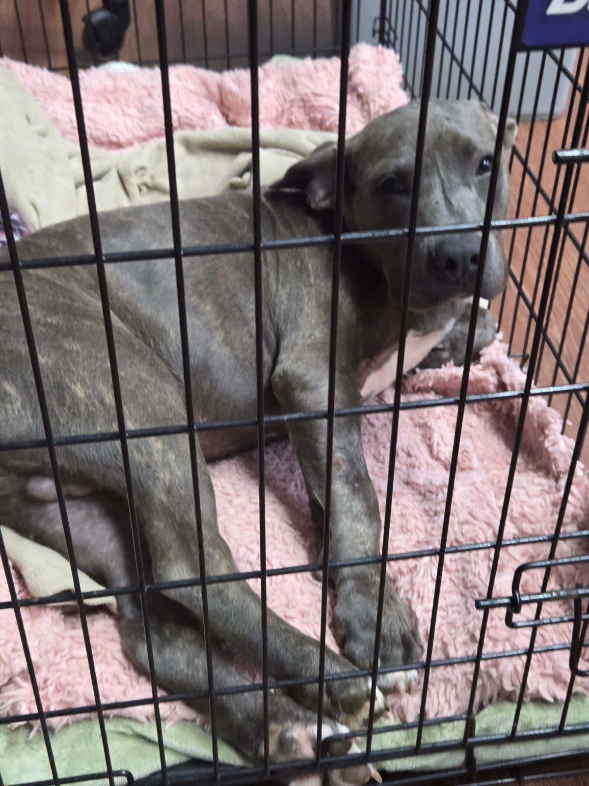 Campaign cover image for Titus