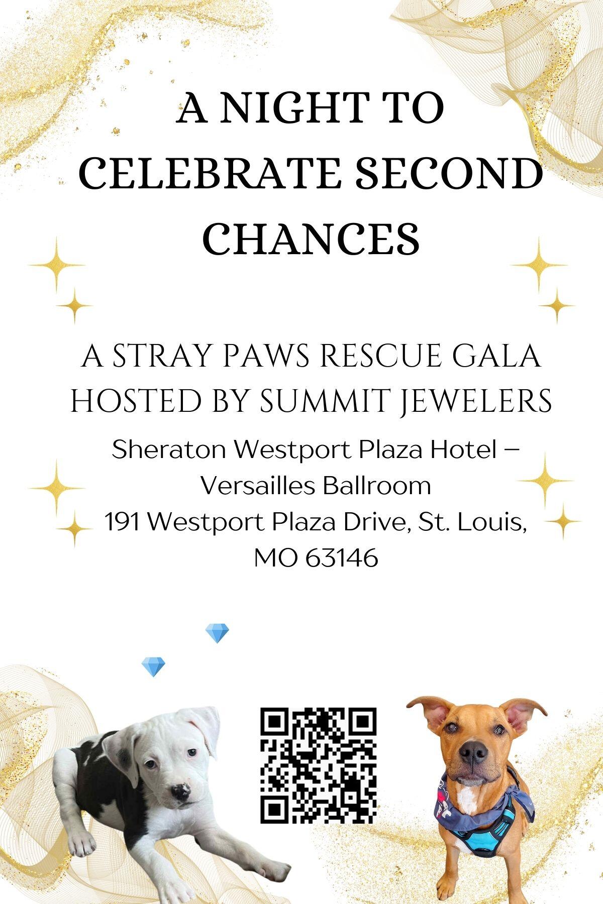 Campaign cover image for ✨ These Are the Days – Stray Paws Rescue Gala ✨