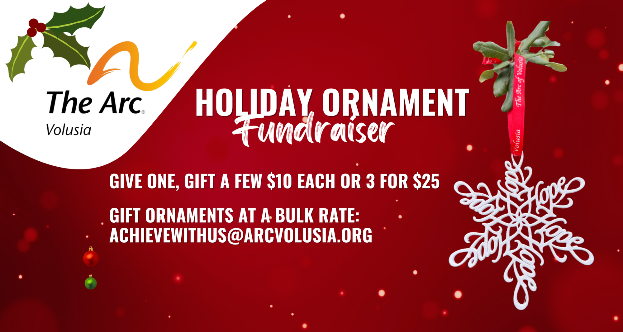 Campaign cover image for 2025 Holiday Ornaments