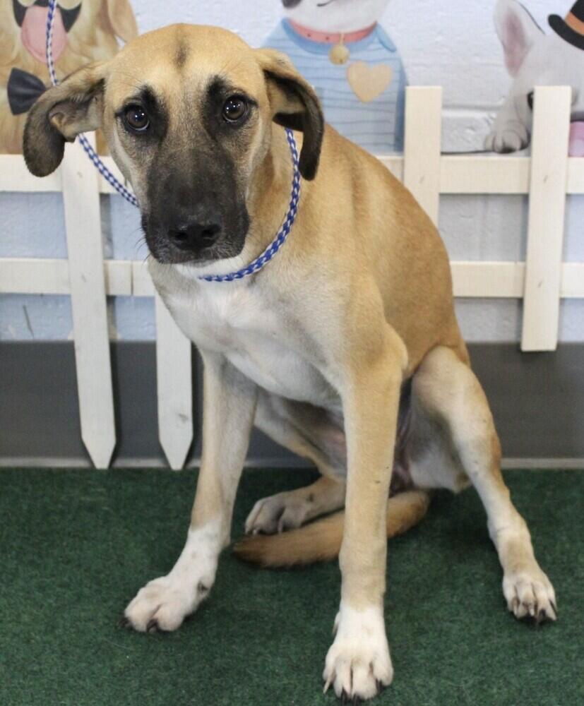 Campaign cover image for Your Donation Can Help Stop the Hurt