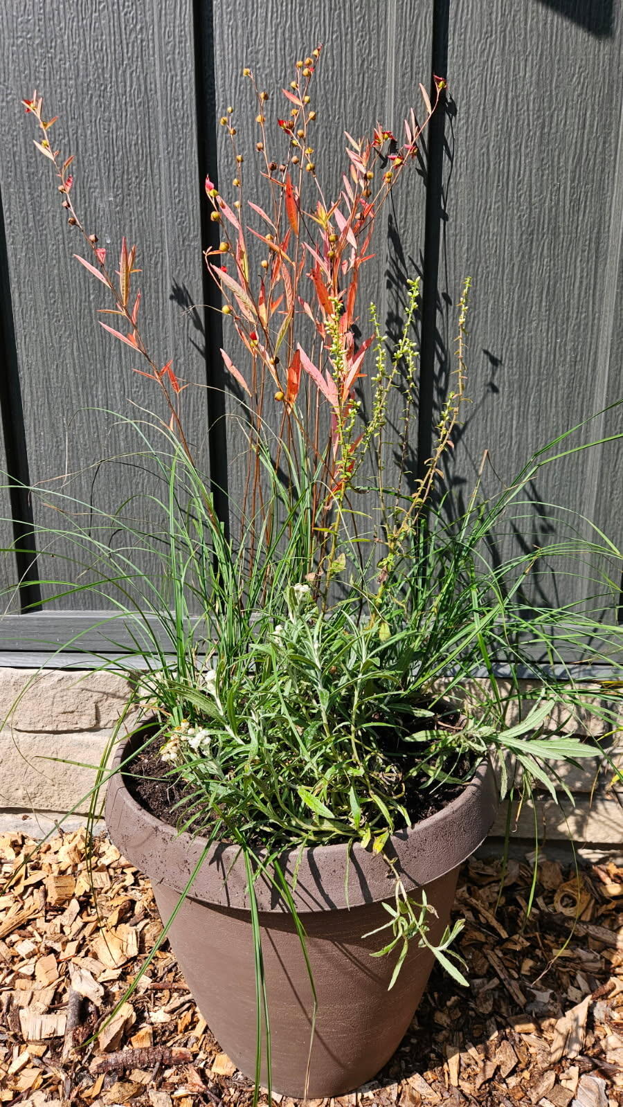 Campaign cover image for Native Plant Container Workshop w/ Avonlea Gardens & Inn