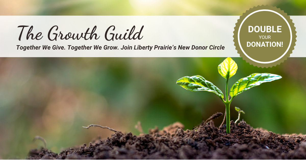 Campaign cover image for Join The Growth Guild