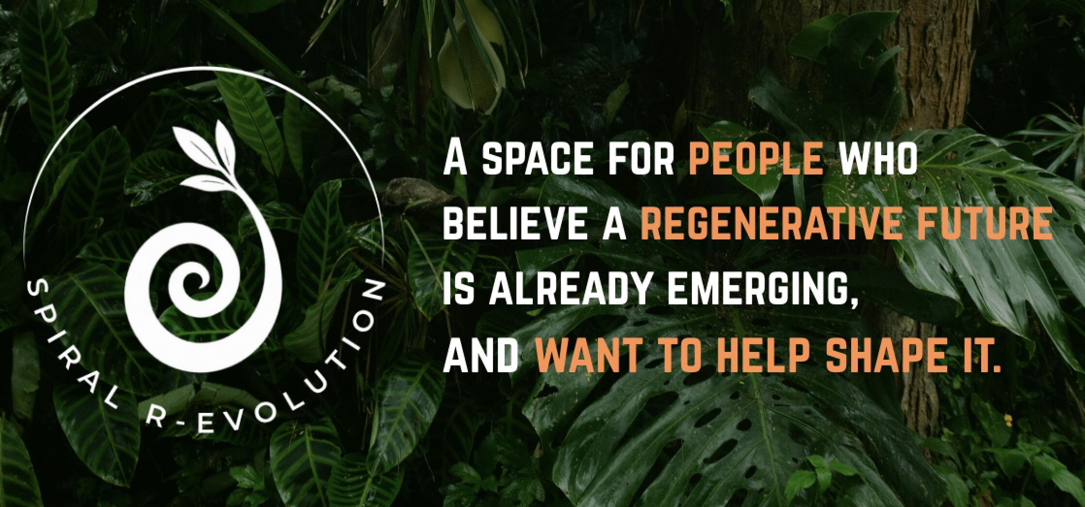 Campaign cover image for Launch of the Spiral R-Evolution Initiative