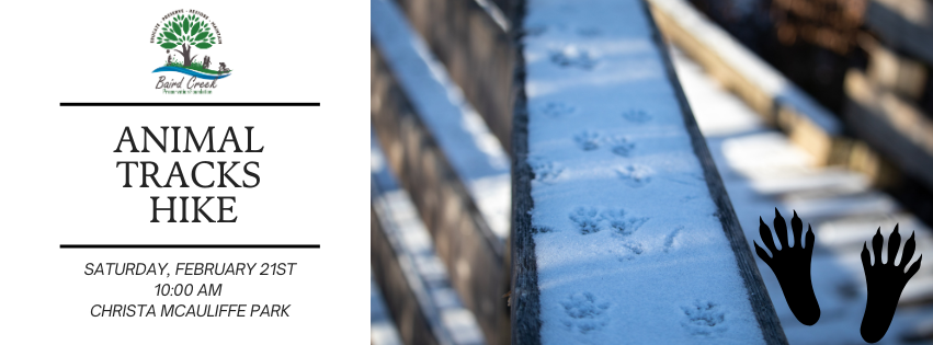Campaign cover image for Animal Tracking Hike 2/21/26