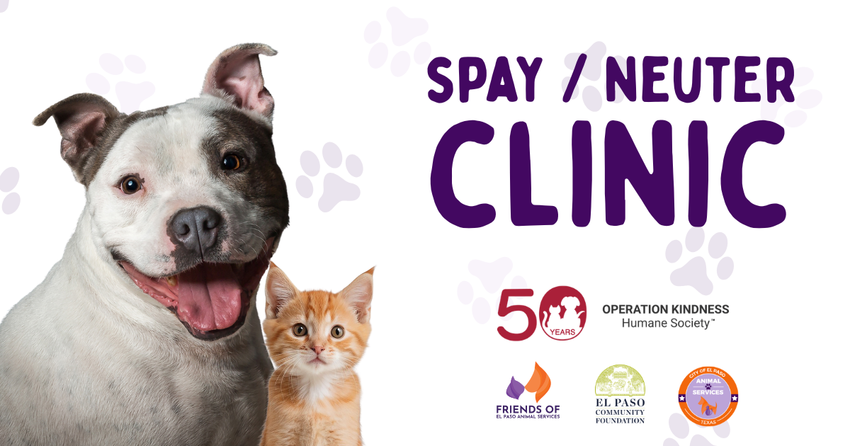 Campaign cover image for May 2026 Spay-A-Thon