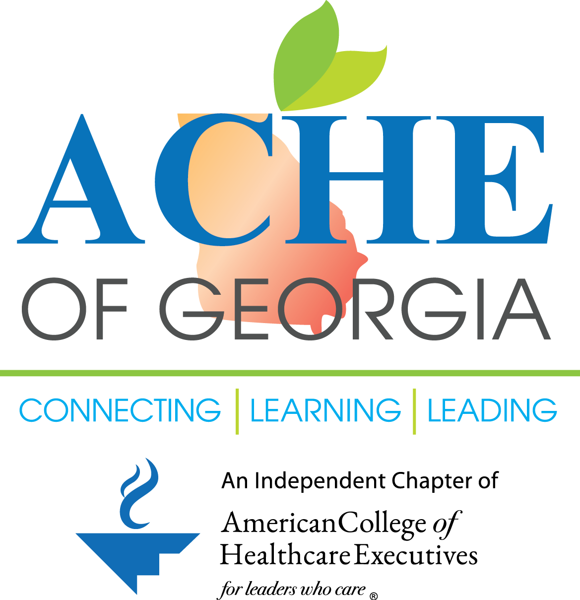 Campaign cover image for November 19 ACHE of Georgia Virtual Interactive Session