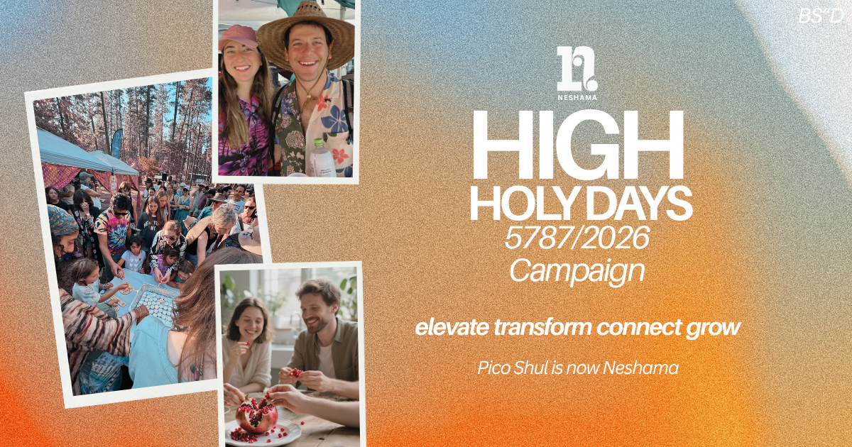 Campaign cover image for High Holy Days Campaign: Support Our Future in 5787 & Beyond!