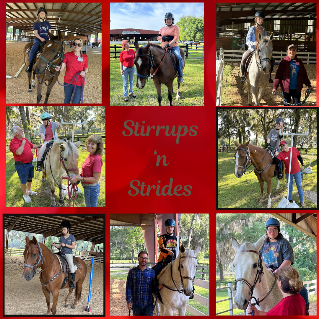 Riding Lesson Payments