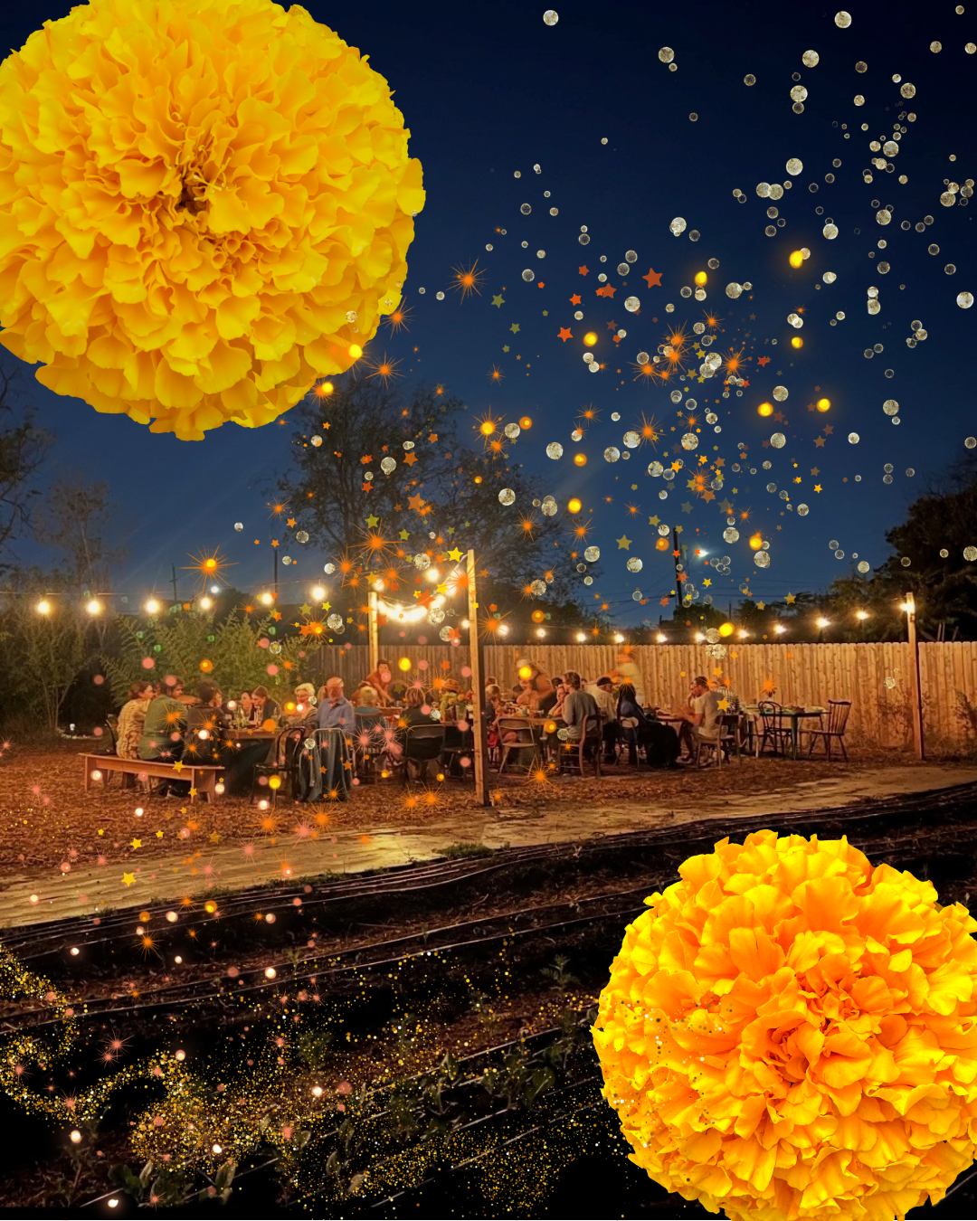 Campaign cover image for Celebration of the Golden Season