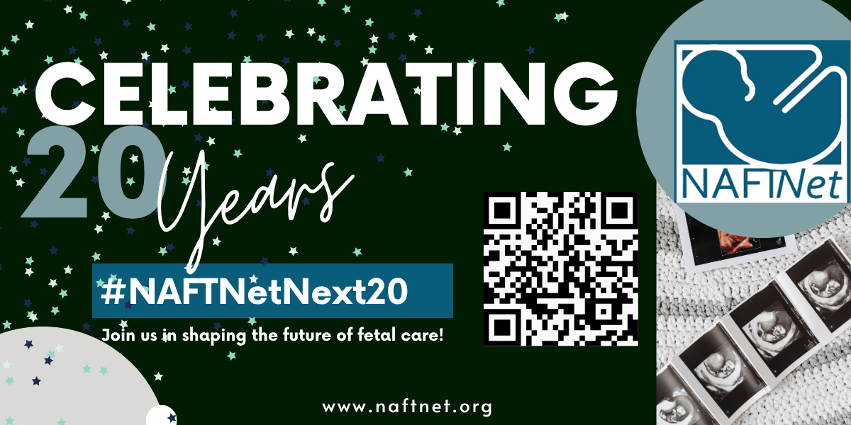 Campaign cover image for NAFTNet Next 20
