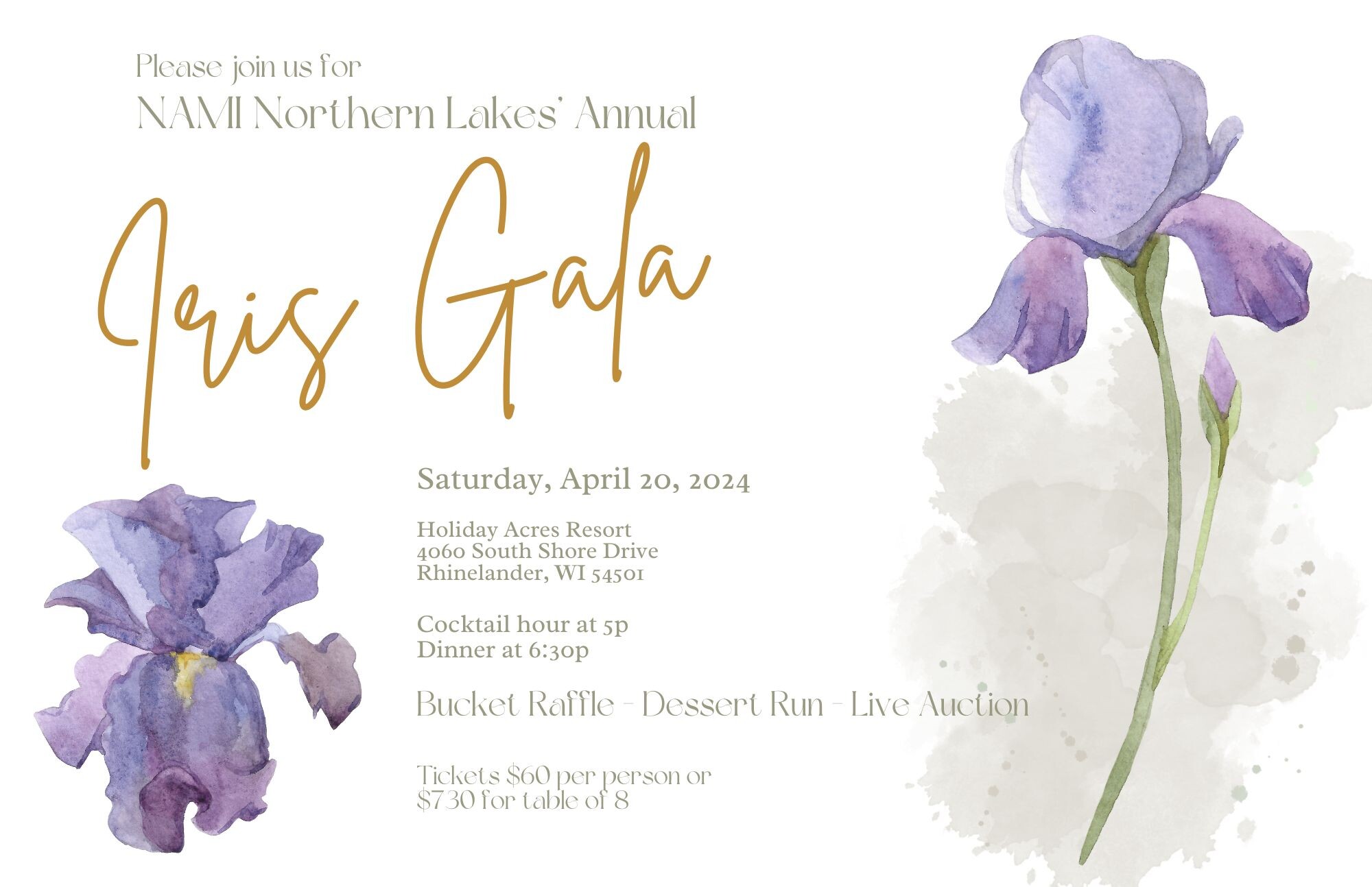 Campaign cover image for Iris Gala 2024