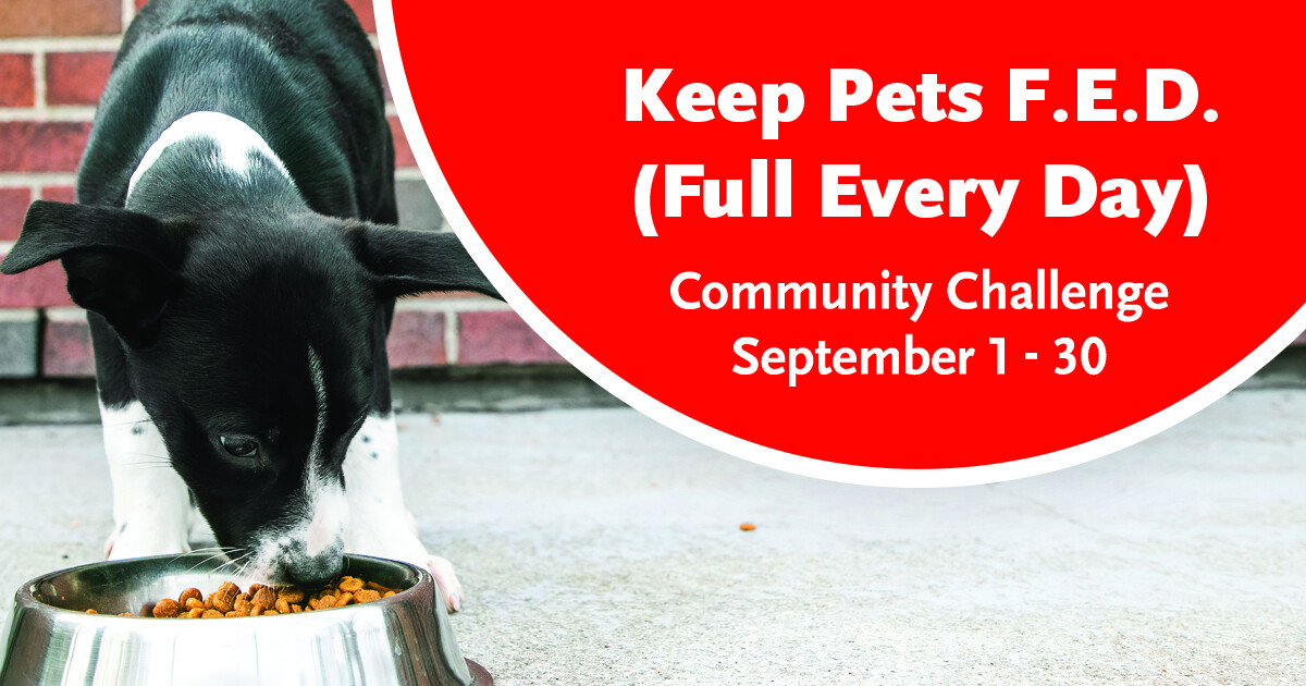 Campaign cover image for Keep Pets F.E.D. Pet Food Collection Challenge