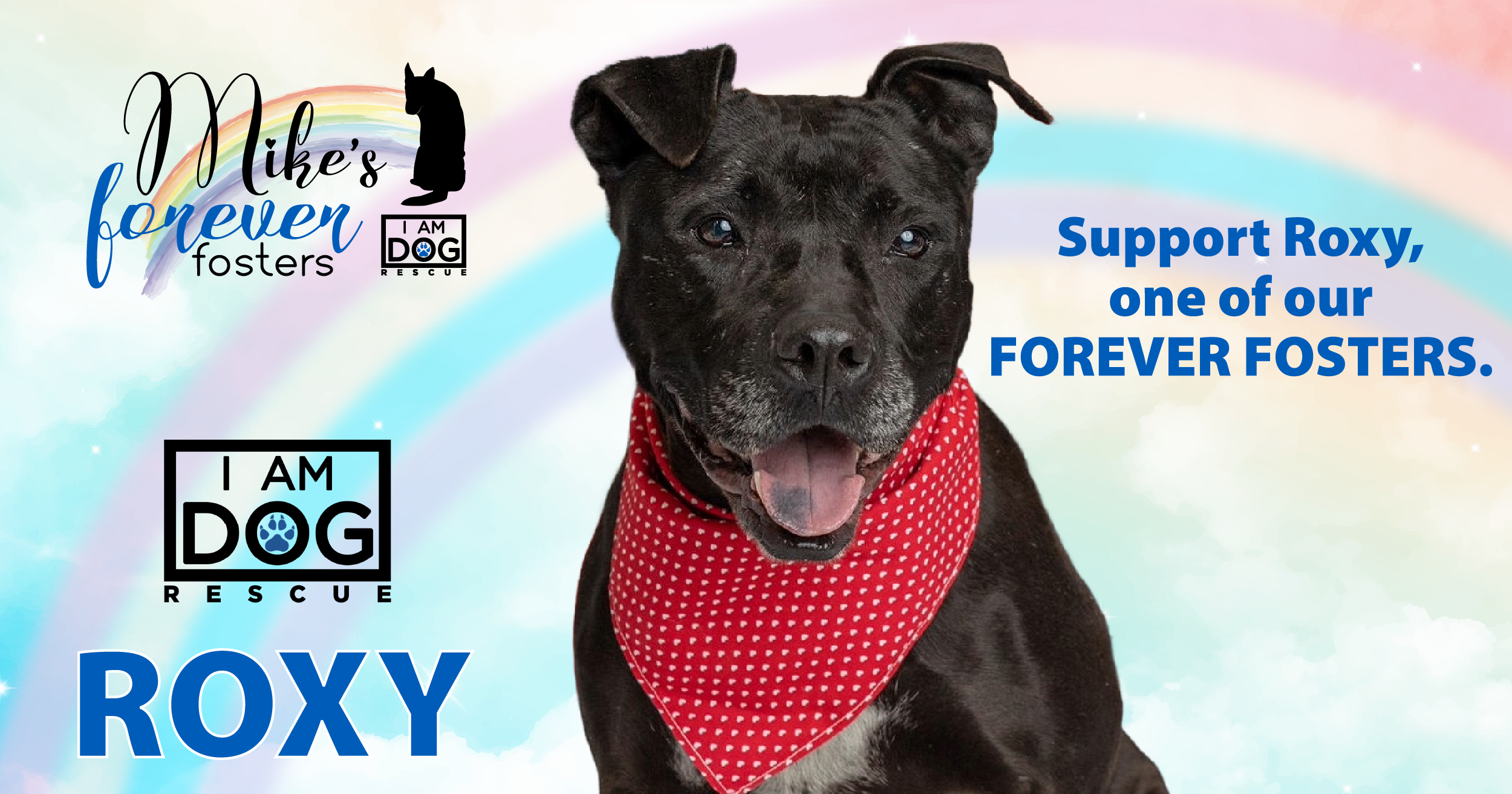 Campaign cover image for Donate for Forever Foster Roxy