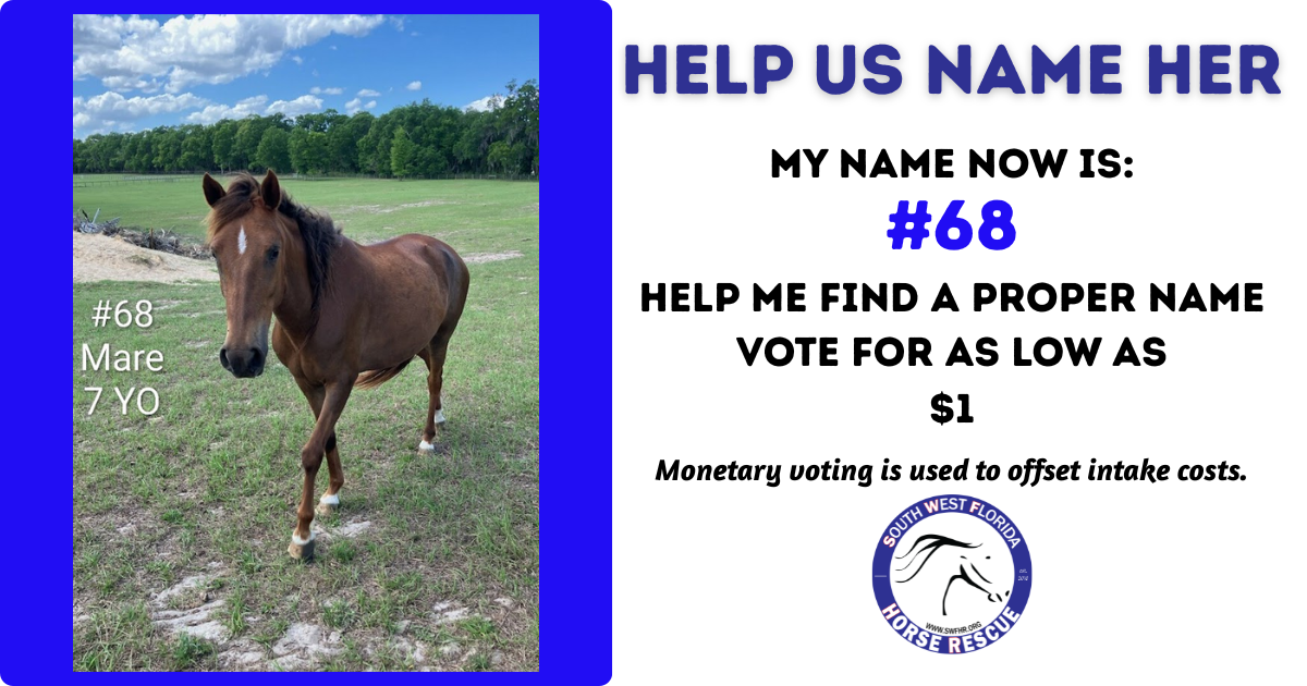 Campaign cover image for SWFHR Name Game - #68