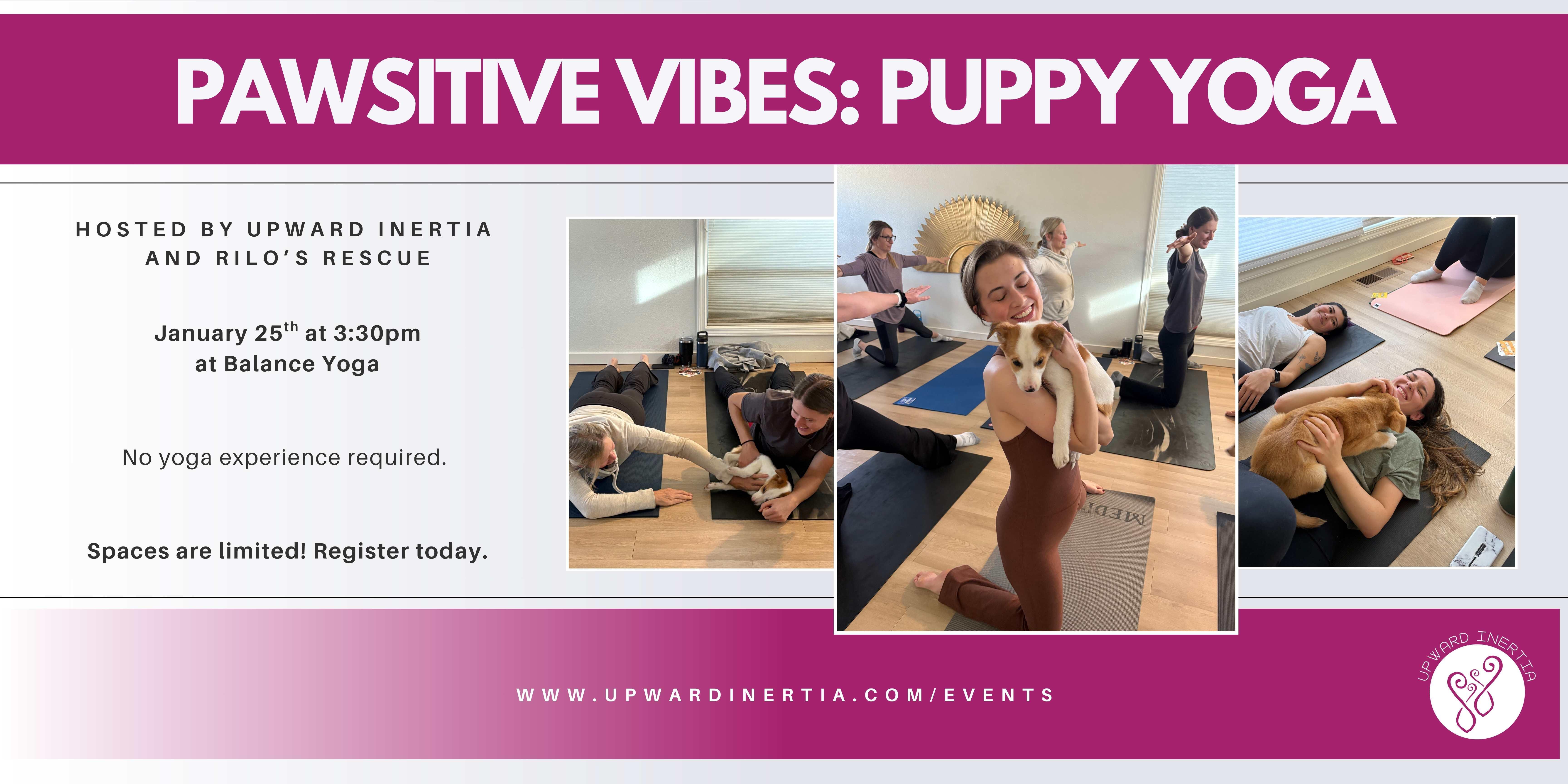 Campaign cover image for Pawsitive Vibes: Puppy Yoga with Upward Inertia and Rilo's Rescue
