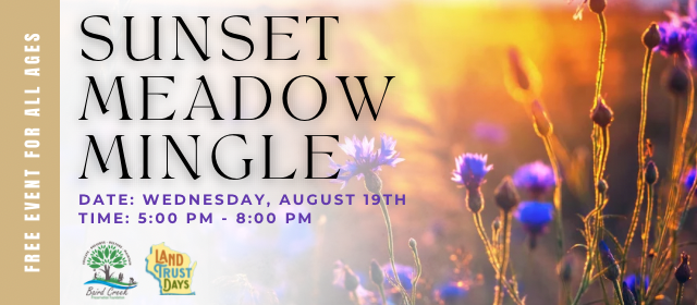 Campaign cover image for Sunset Meadow Mingle - Land Trust Days Event