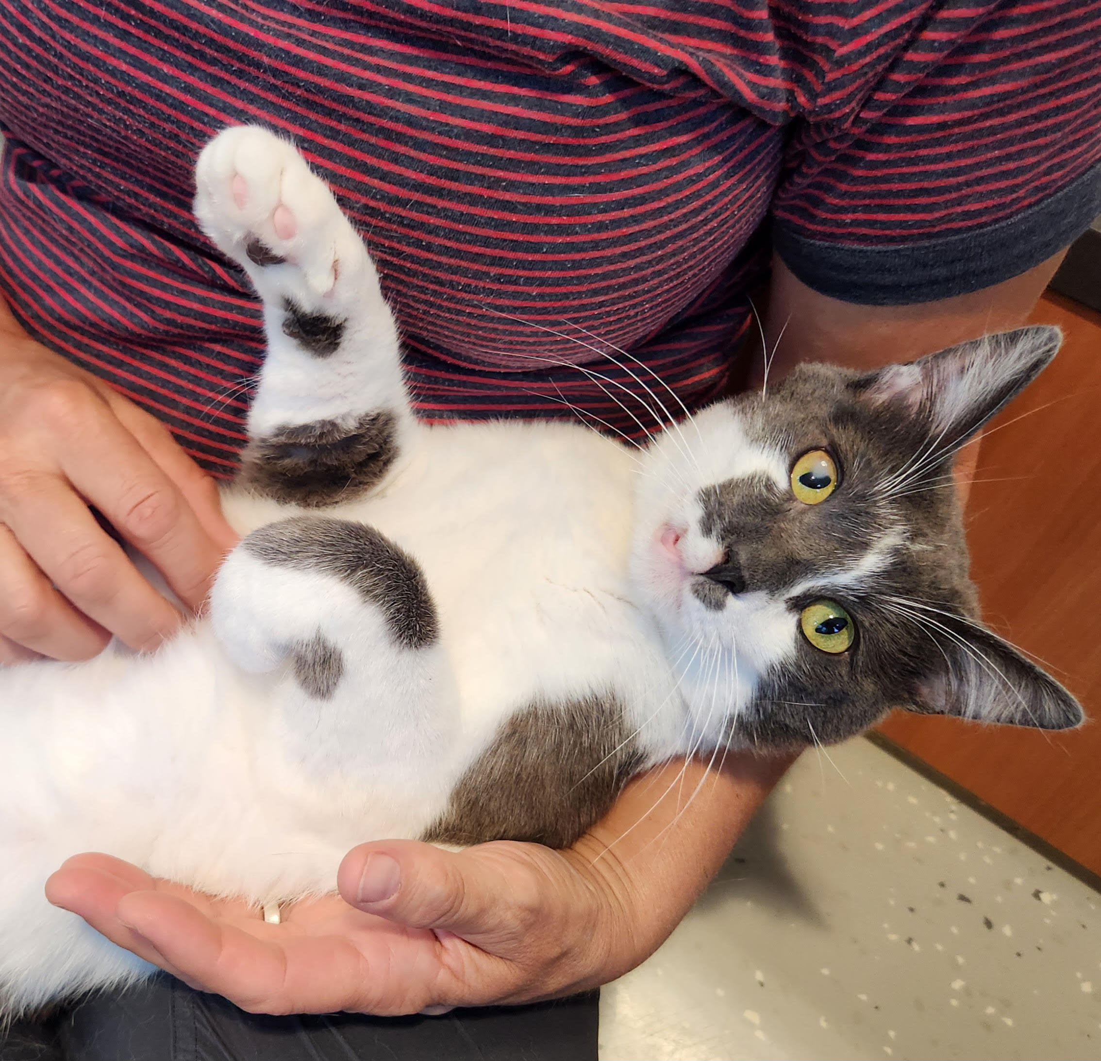 Campaign cover image for Support Extra Mile Fund