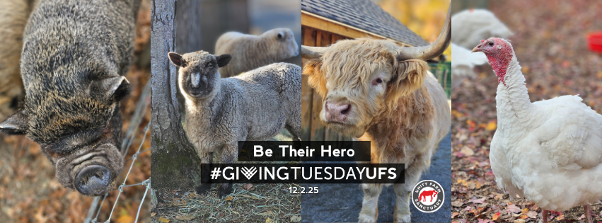 Campaign cover image for Be Their Hero in 2025