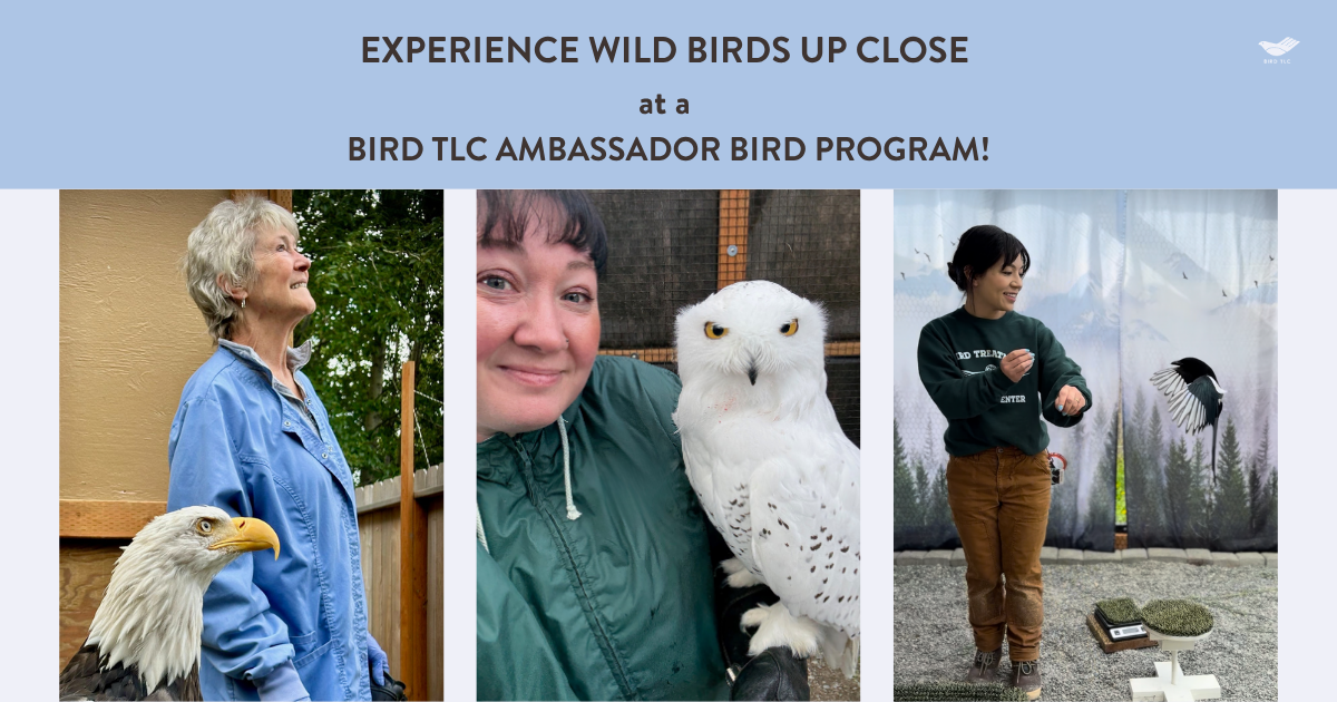 Campaign cover image for Ambassador Bird Programs 2026