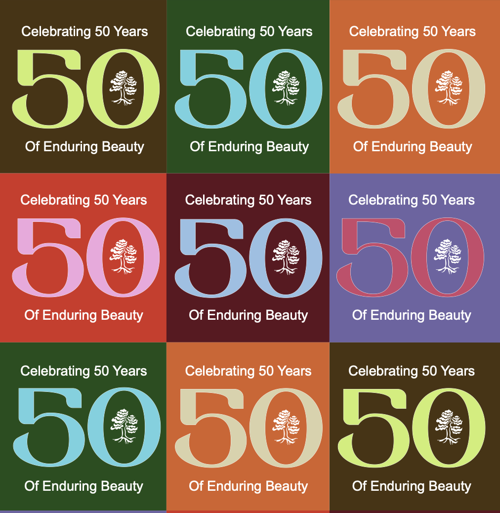 Campaign cover image for 50th Anniversary Benefit_2025