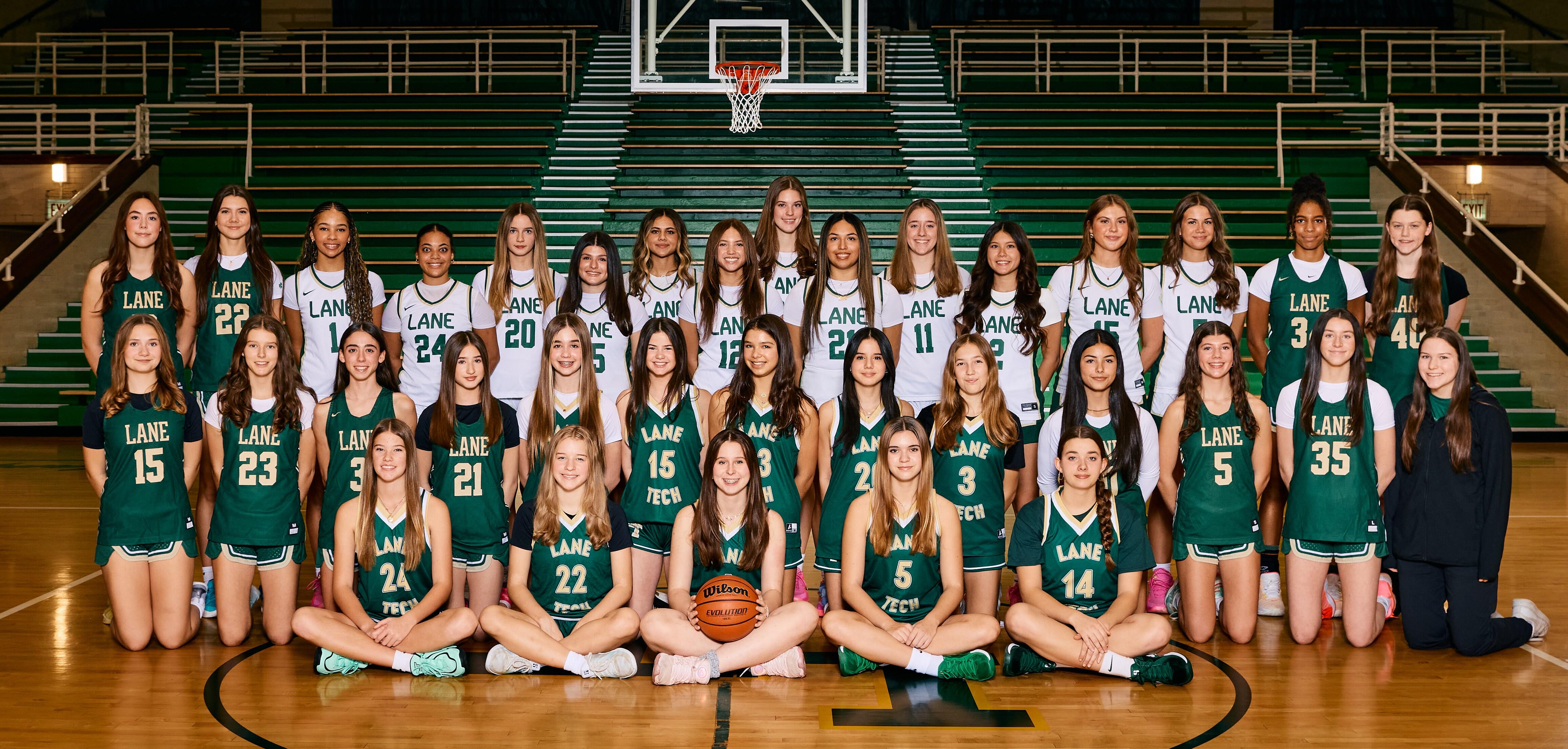 Campaign cover image for Lane Tech Girls Basketball Annual Appeal