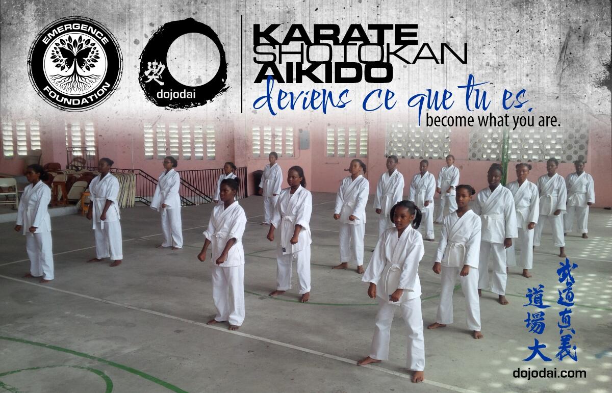 Campaign cover image for Dojodai Martial Arts Fund