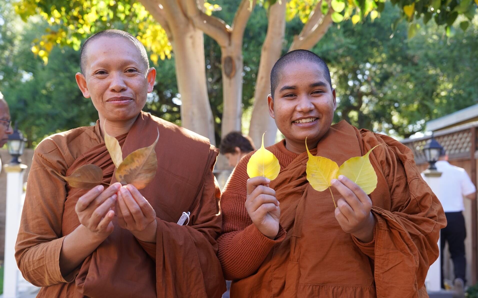 Campaign cover image for Designated Donations