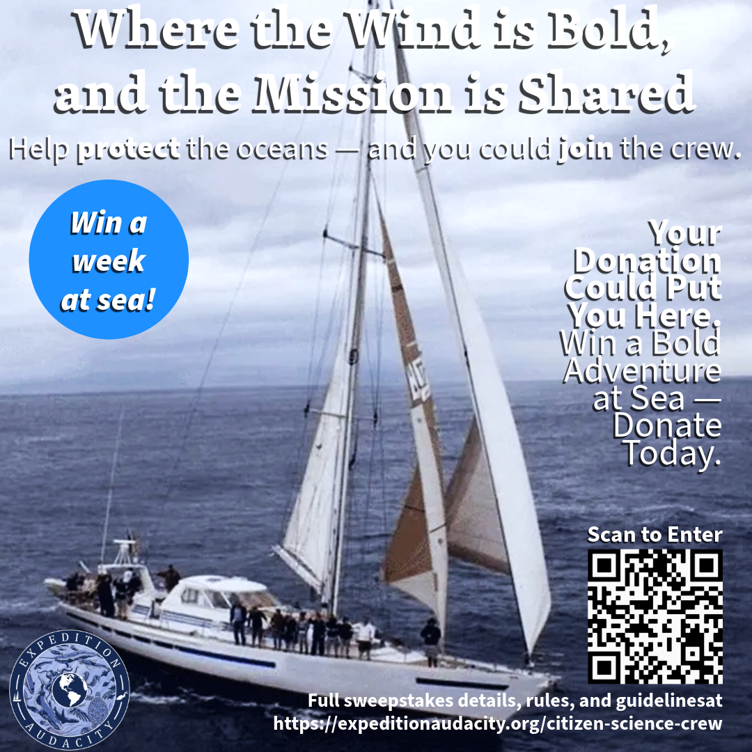 Campaign cover image for Expedition Audacity General Donations