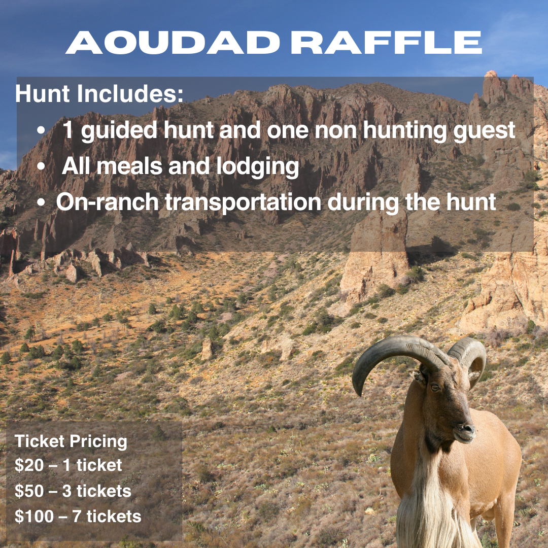 Campaign cover image for Aoudad Hunt Raffle Tickets