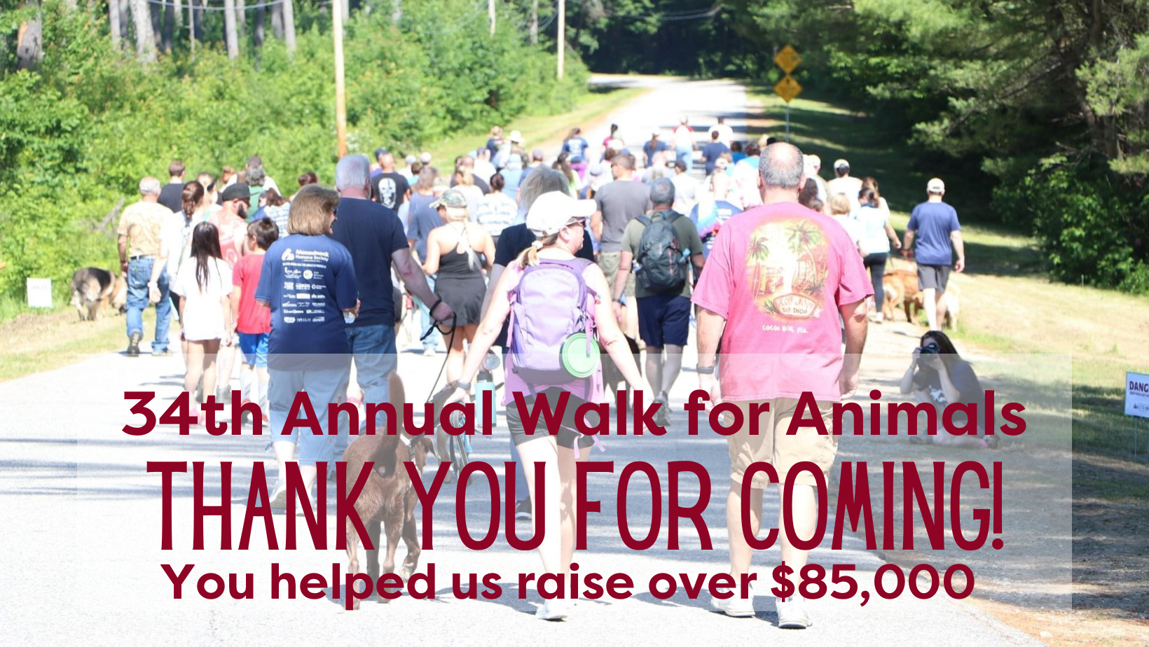 Campaign cover image for 2022 Walk for Animals