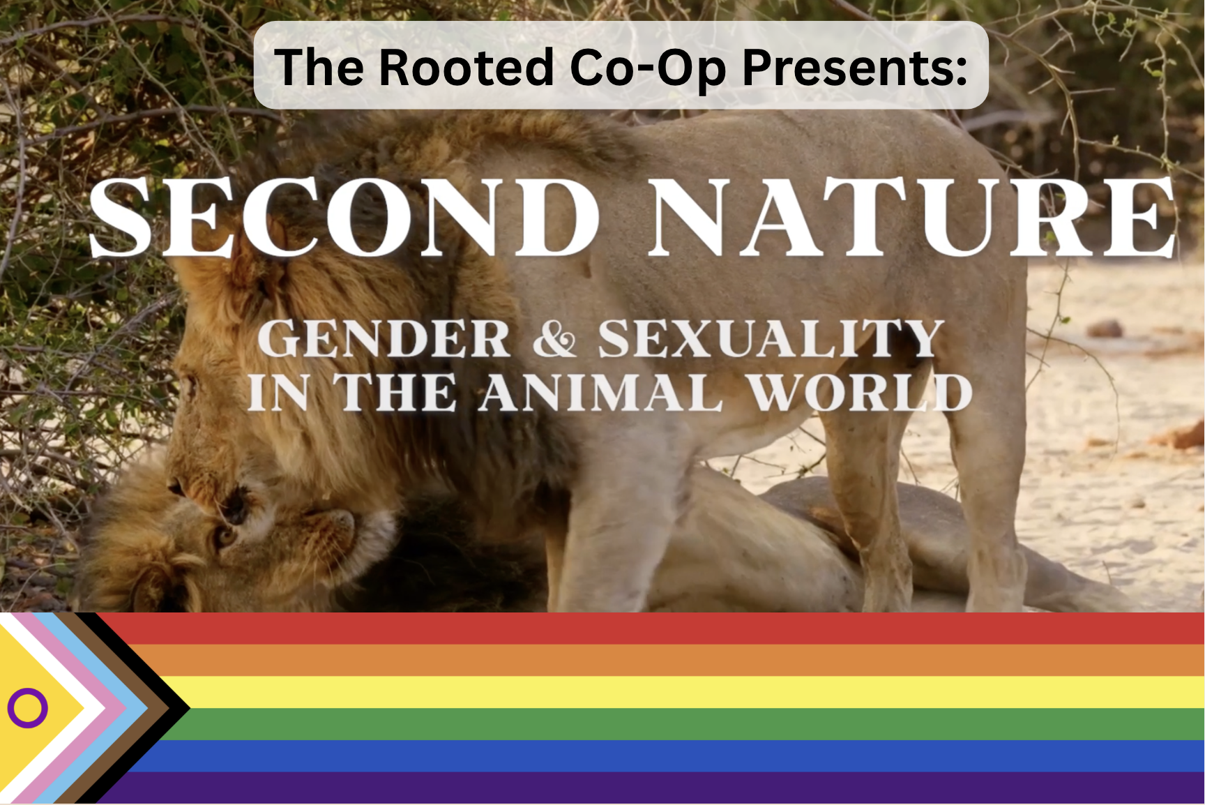 Campaign cover image for SECOND NATURE: Documenting Queer Gender and Sexuality in the Animal World