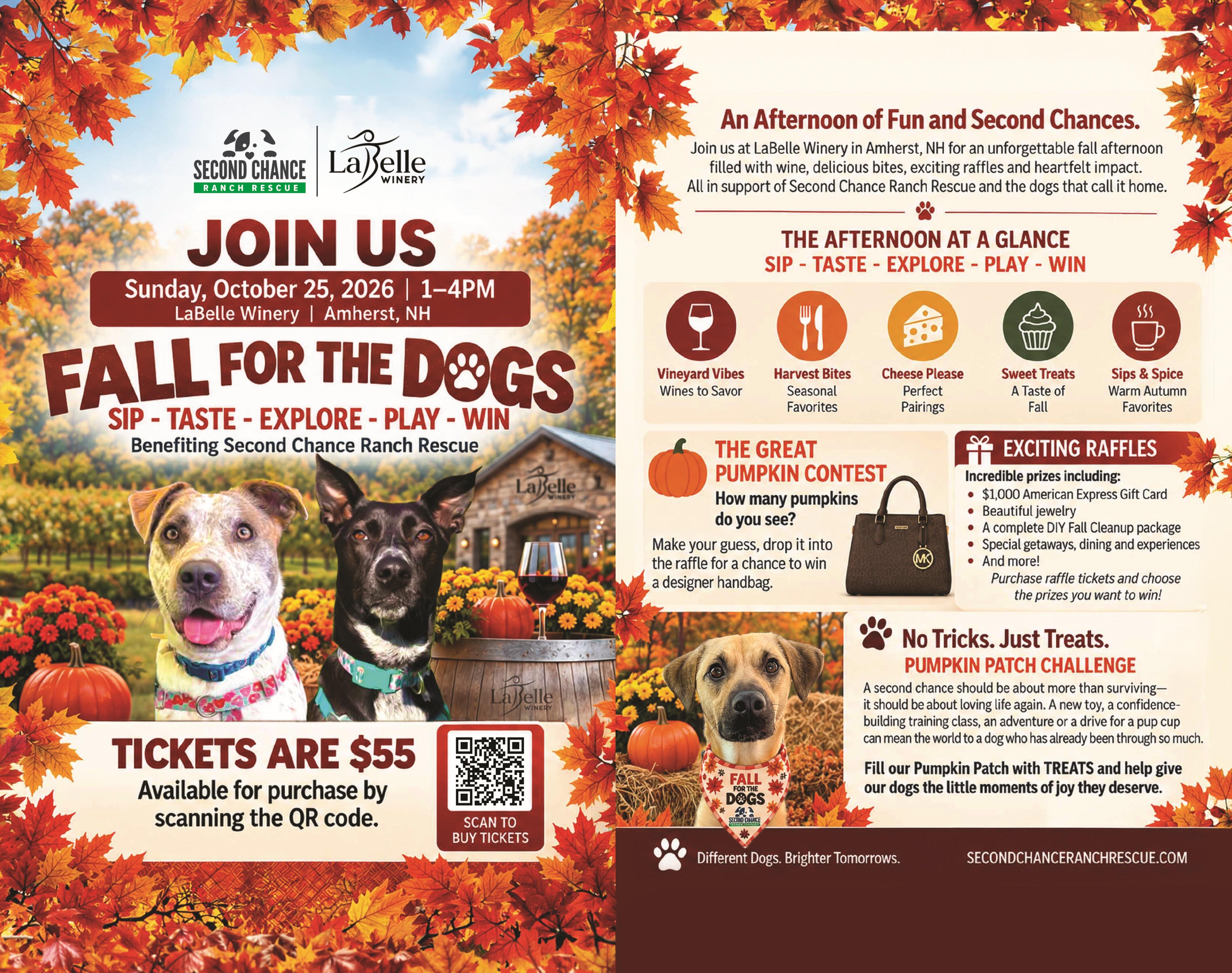Campaign cover image for Fall for the Dogs